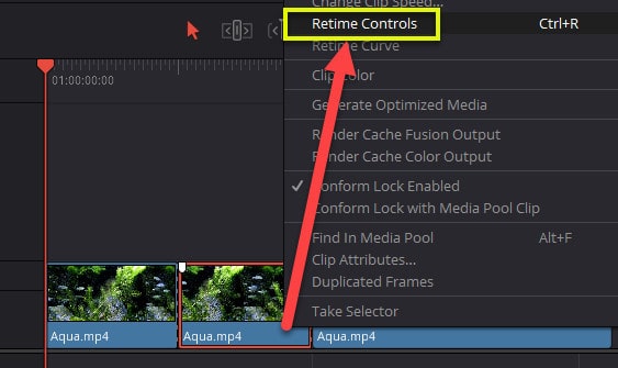 right-click clip and select retime controls