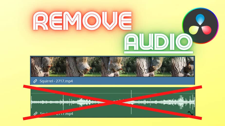 Remove Audio from video in davinci resolve