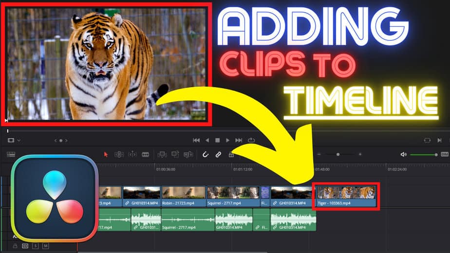 add clips to the timeline in davinci resolve