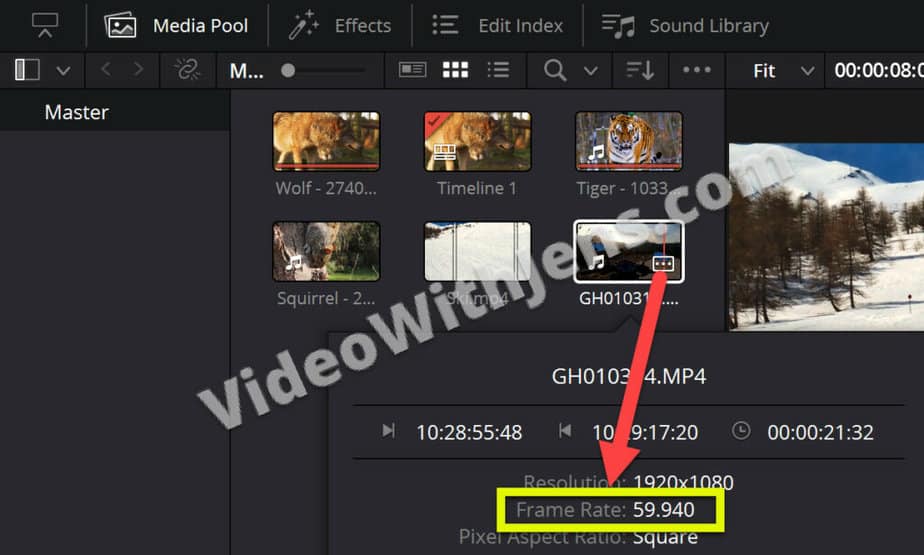 check frame rate of clip