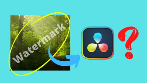 Does davinci resolve have water mark? how to remove watermark. How to add watermark