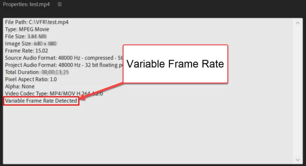 variable frame rate premiere pro detected